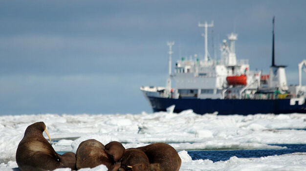 Профессор Хромов (Spirit of Enderby)