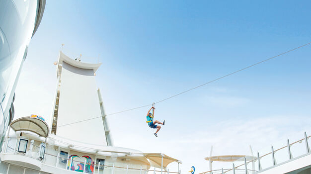 Тарзанка Zip Line