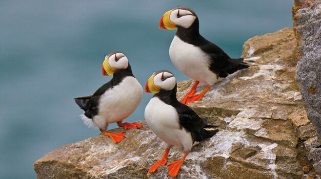 На экскурсии