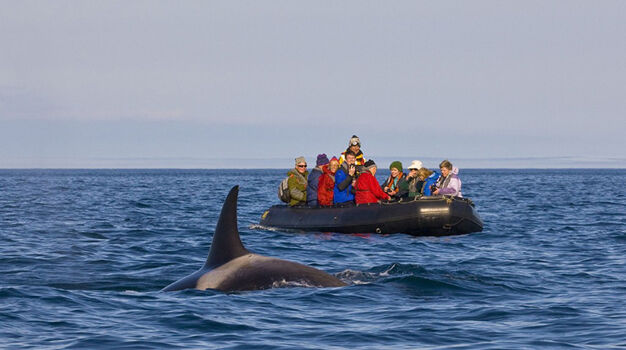Экскурсия на экспедиционной лодке