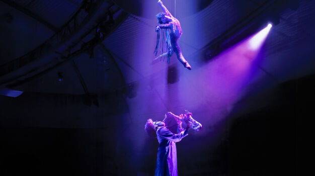 Вечернее шоу