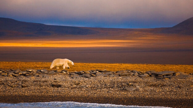 На экскурсии