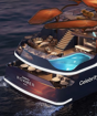 Celebrity Roamer