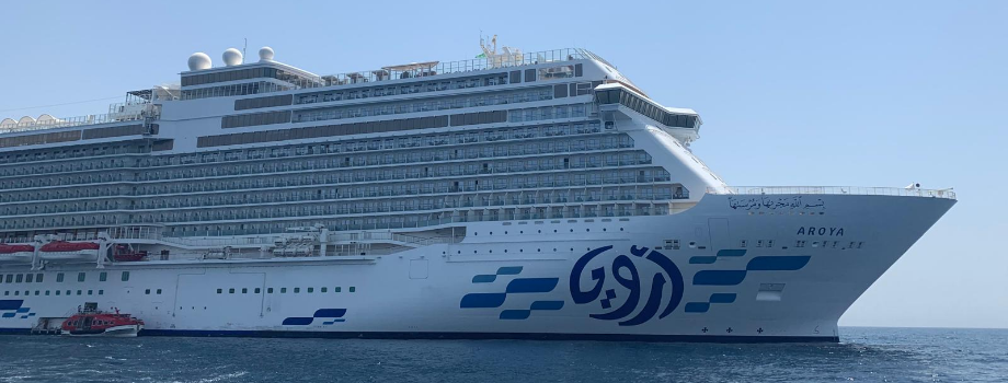 Лайнер Aroya