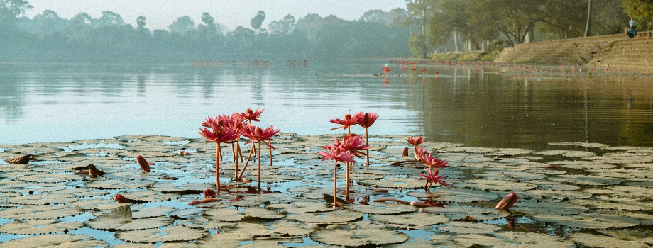 Река Меконг, Вьетнам