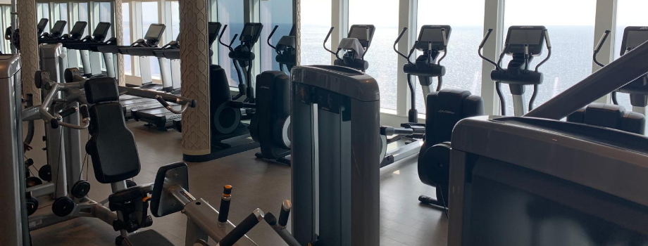Тренажерный зал на лайнере Aroya