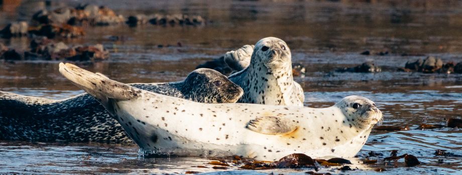Экспедиция по Приморью