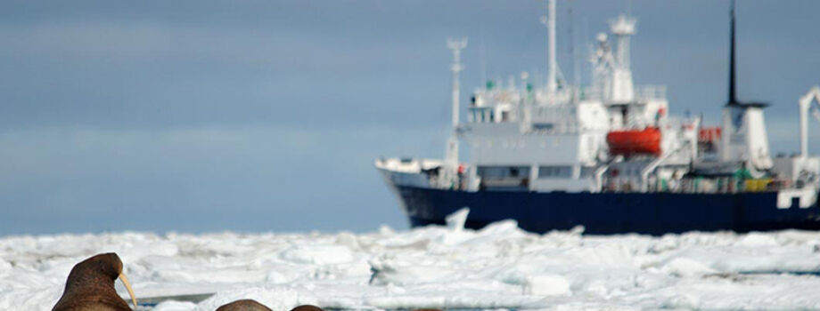 Профессор Хромов (Spirit of Enderby)