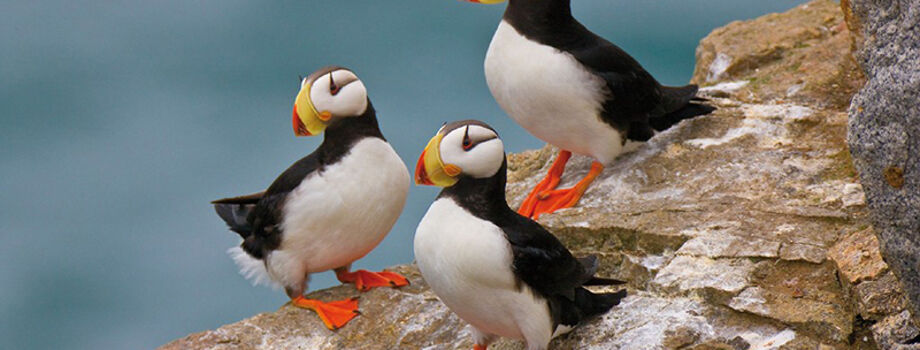 На экскурсии