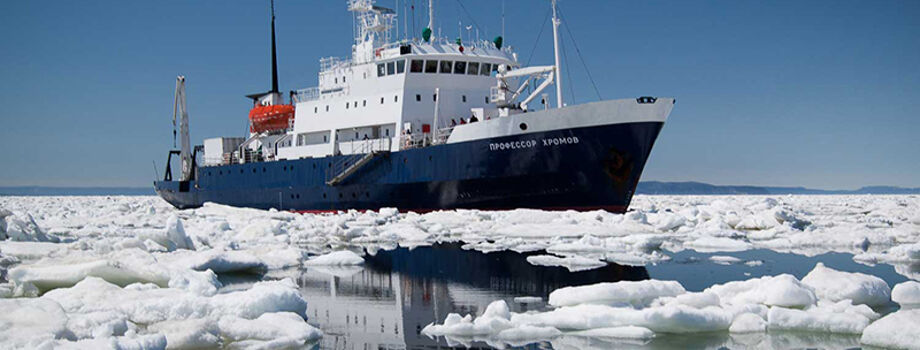 Профессор Хромов (Spirit of Enderby)