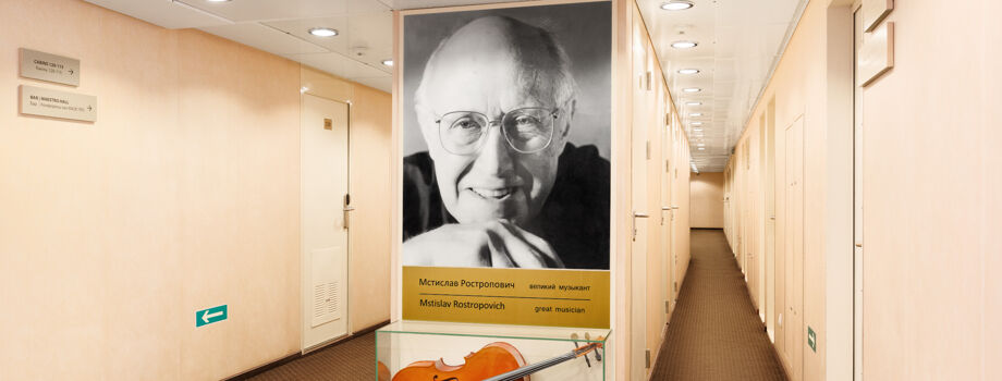 Зона Ростроповича