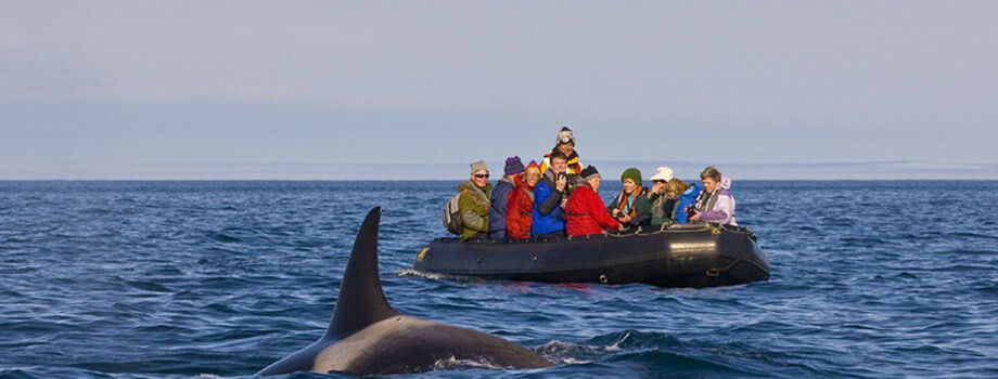 Экскурсия на экспедиционной лодке