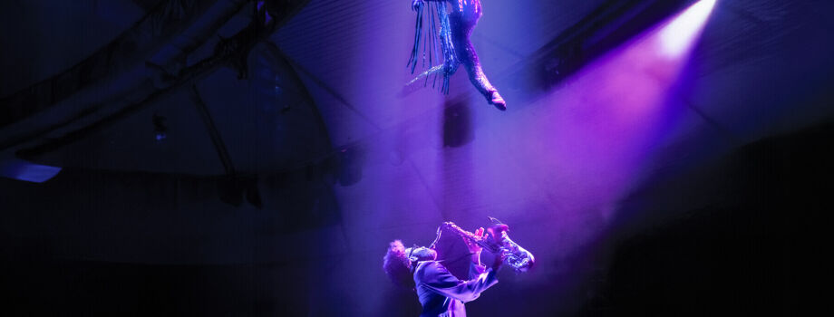 Вечернее шоу