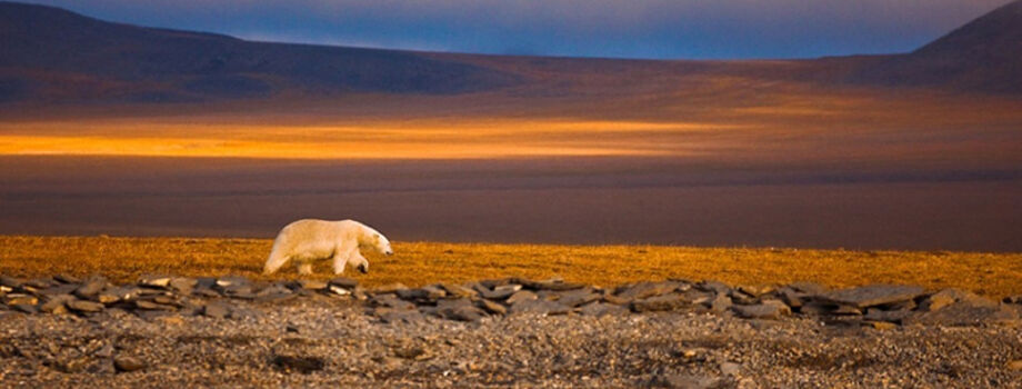 На экскурсии